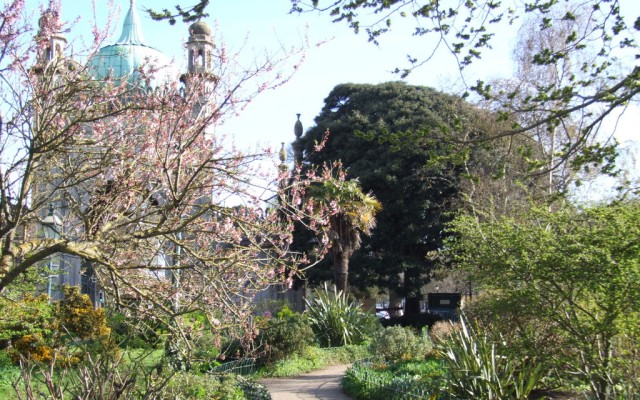 Royal Pavilion: Head Gardener Tours