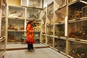 Natural Sciences